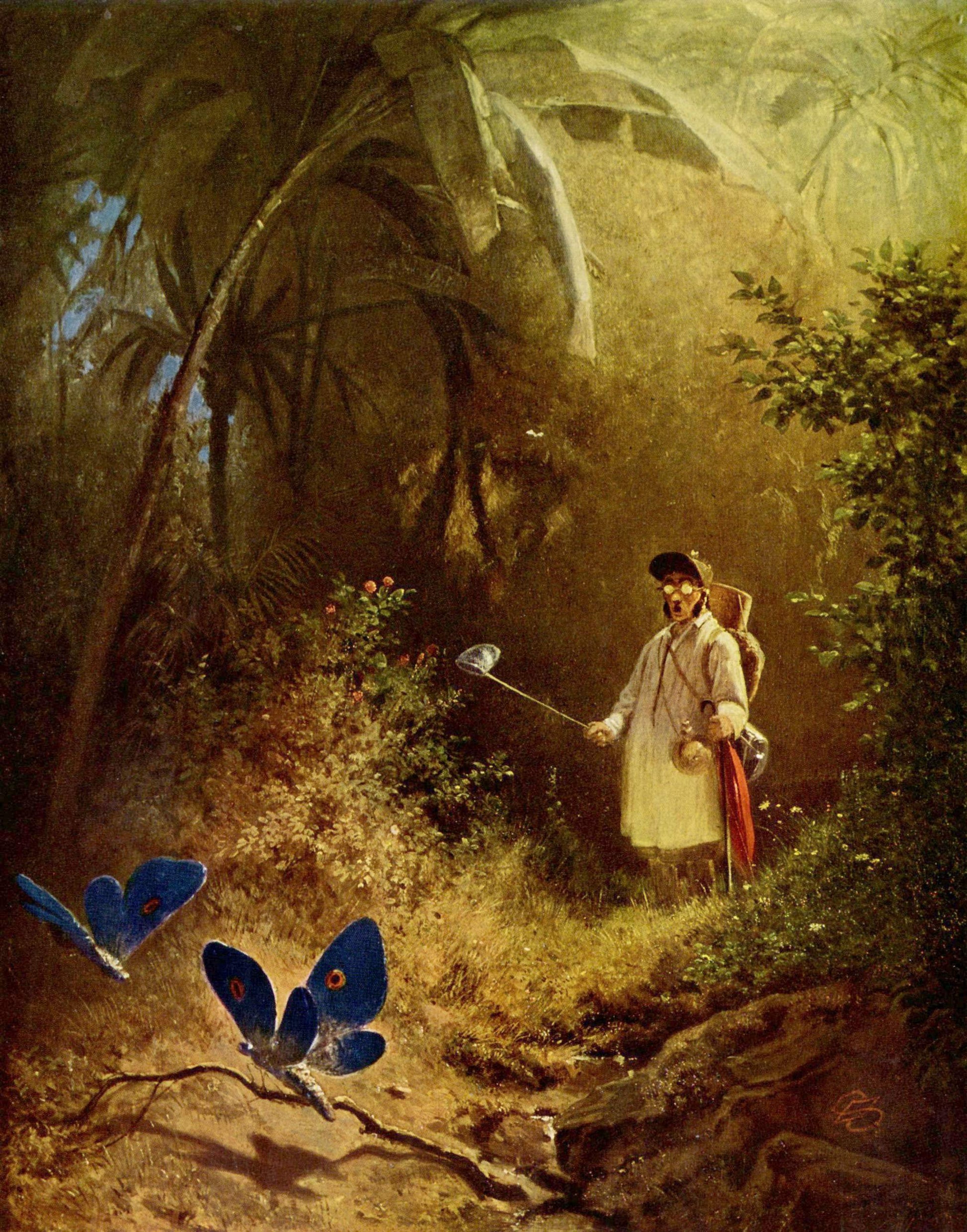 O Caçador de Borboletas - Carl Spitzweg