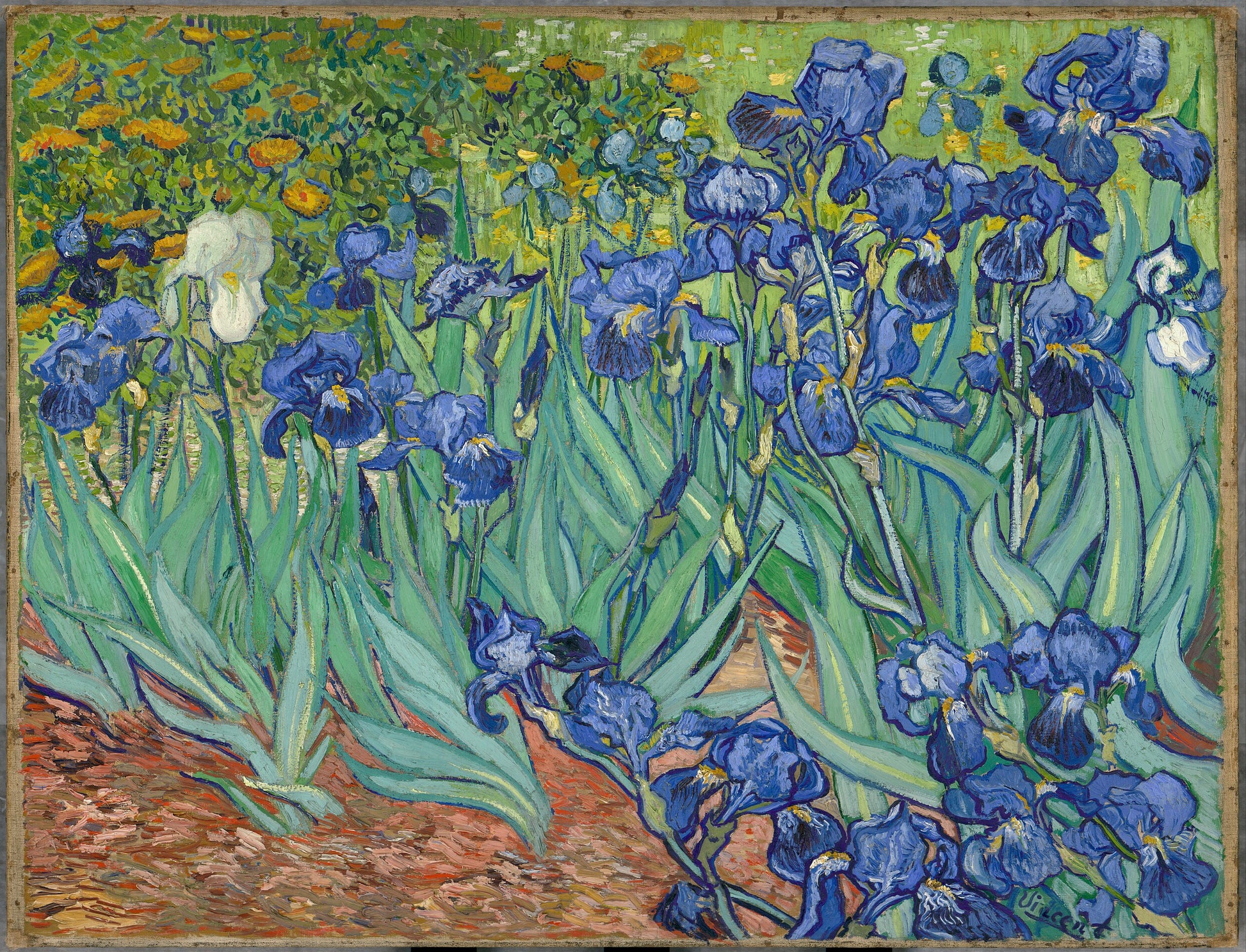 Íris - Vincent van Gogh