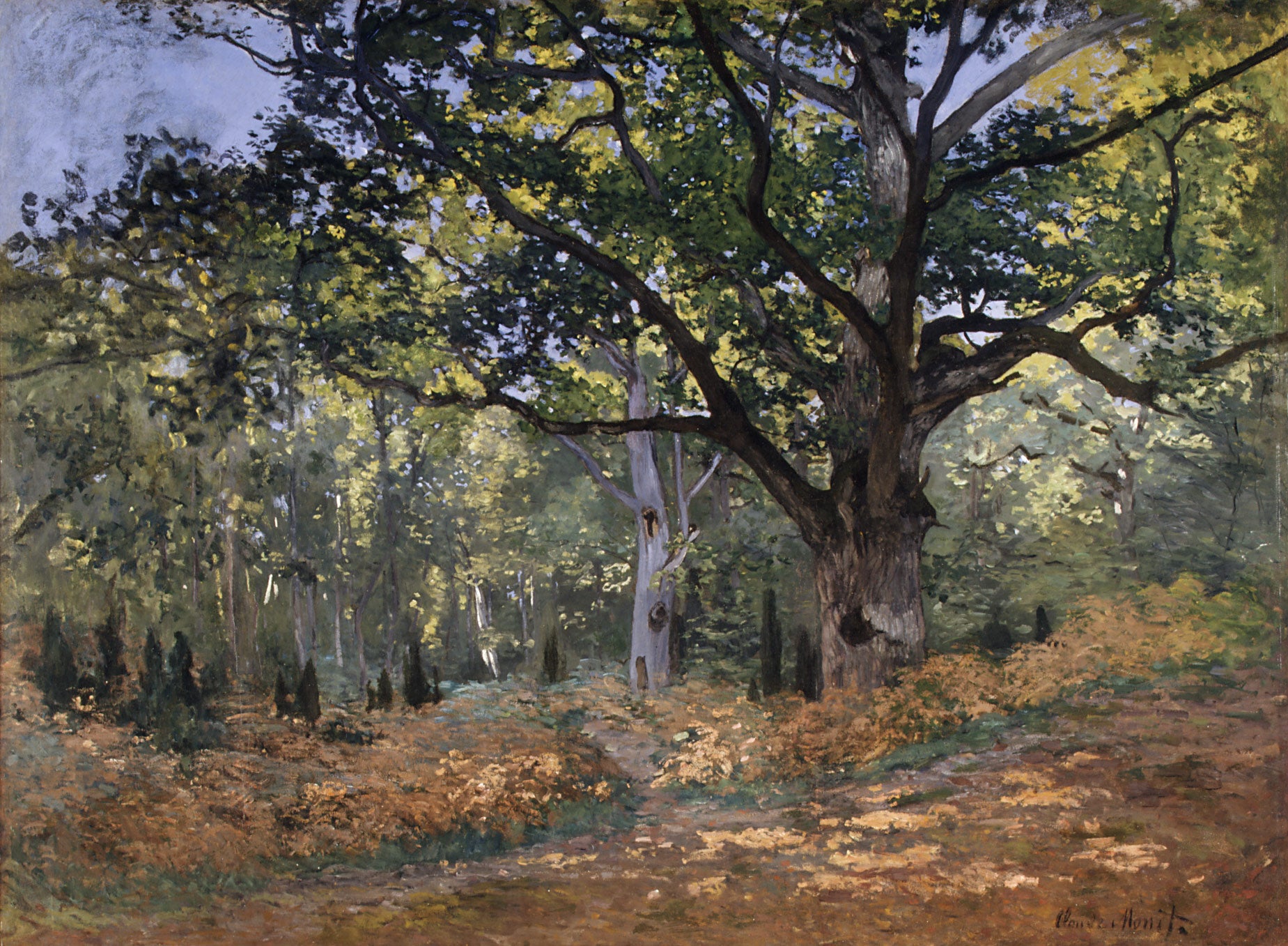 O Carvalho de Bodmer, a estrada de Chailly - Claude Monet