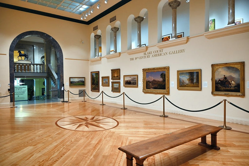 Michele & Donald D'Amour Museum of Fine Arts