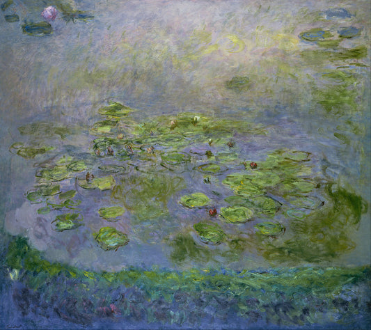 🌿 Ninféias à beira do lago