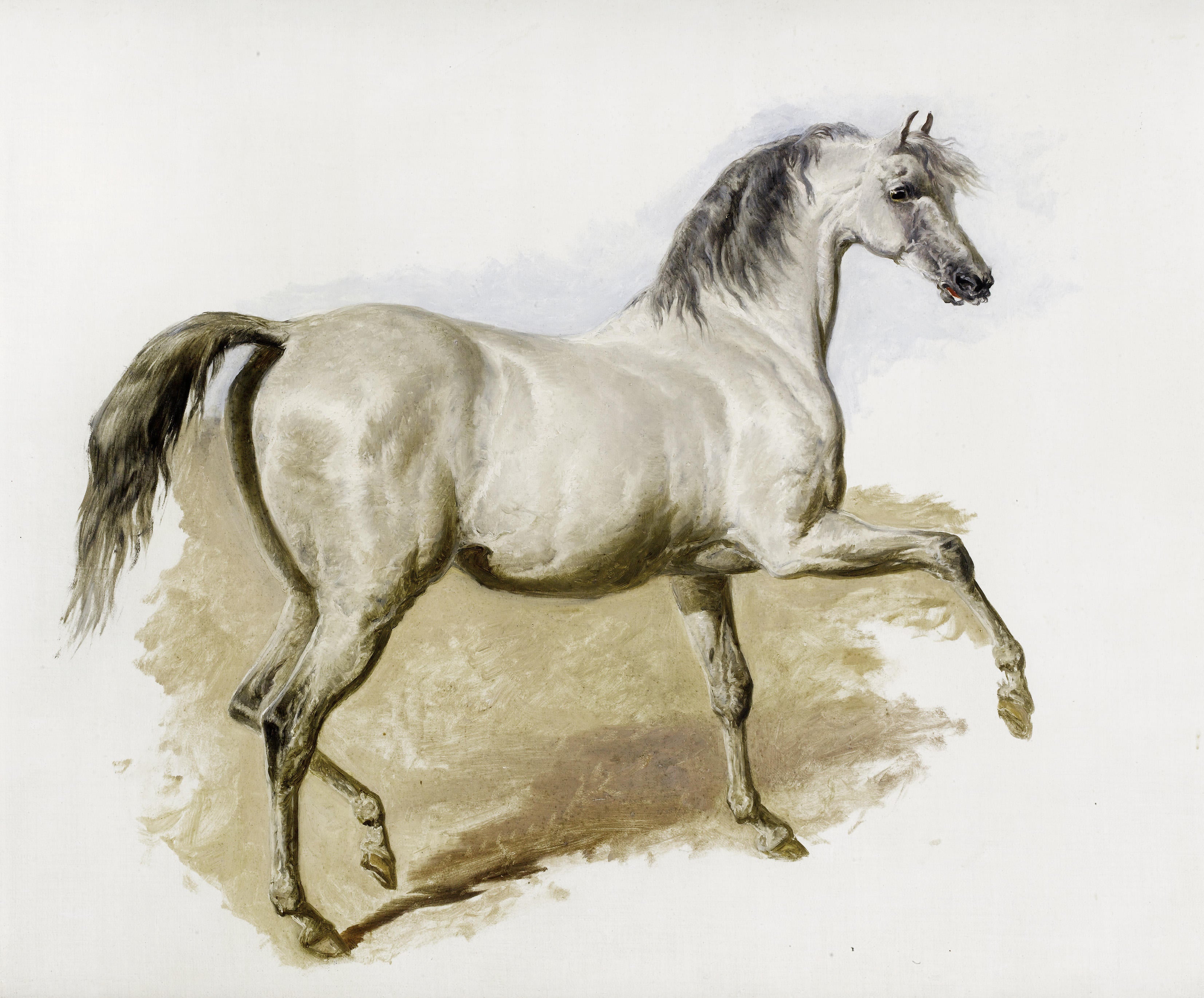 Étude d'une jument arabe grise - John Frederick Herring, Sr.