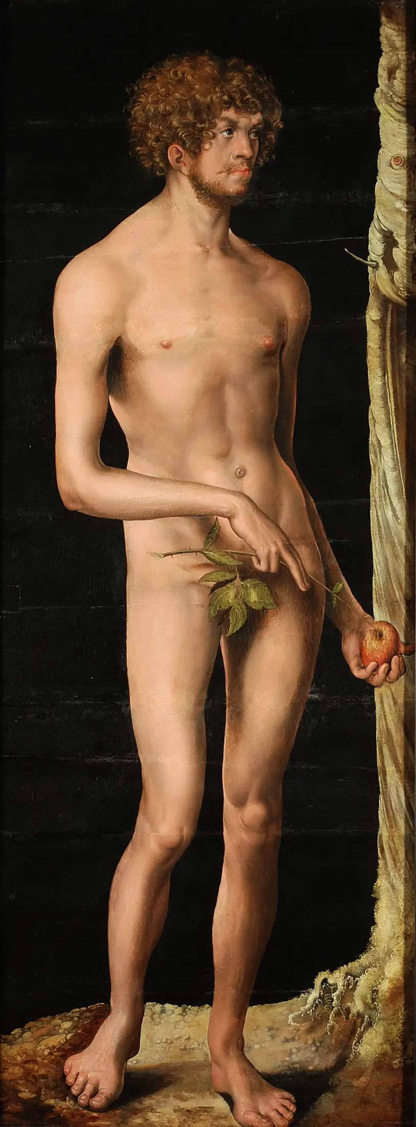 Adam - Lucas Cranach the Elder - Alpha Reproduction