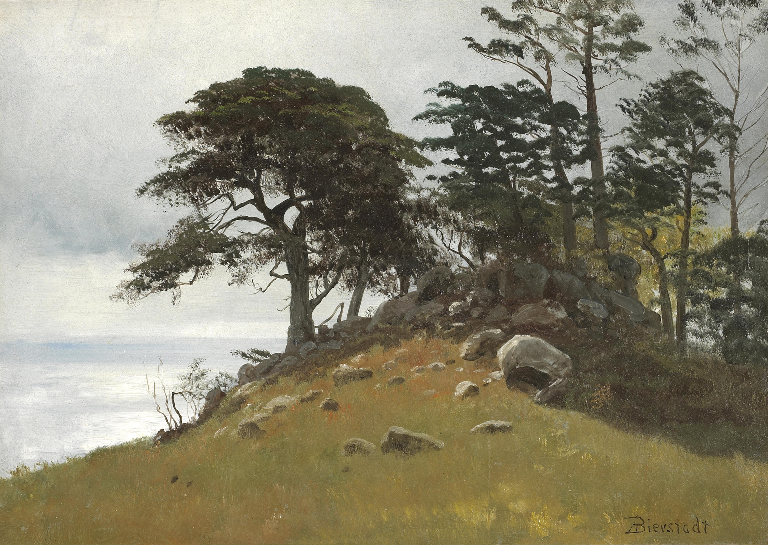 Cypress Point, Monterey - Albert Bierstadt