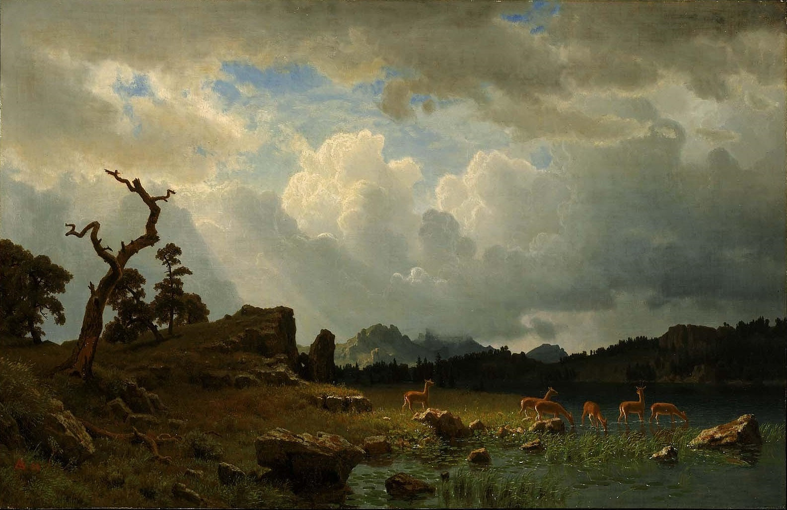 Orage dans les montagnes Rocheuses - Albert Bierstadt