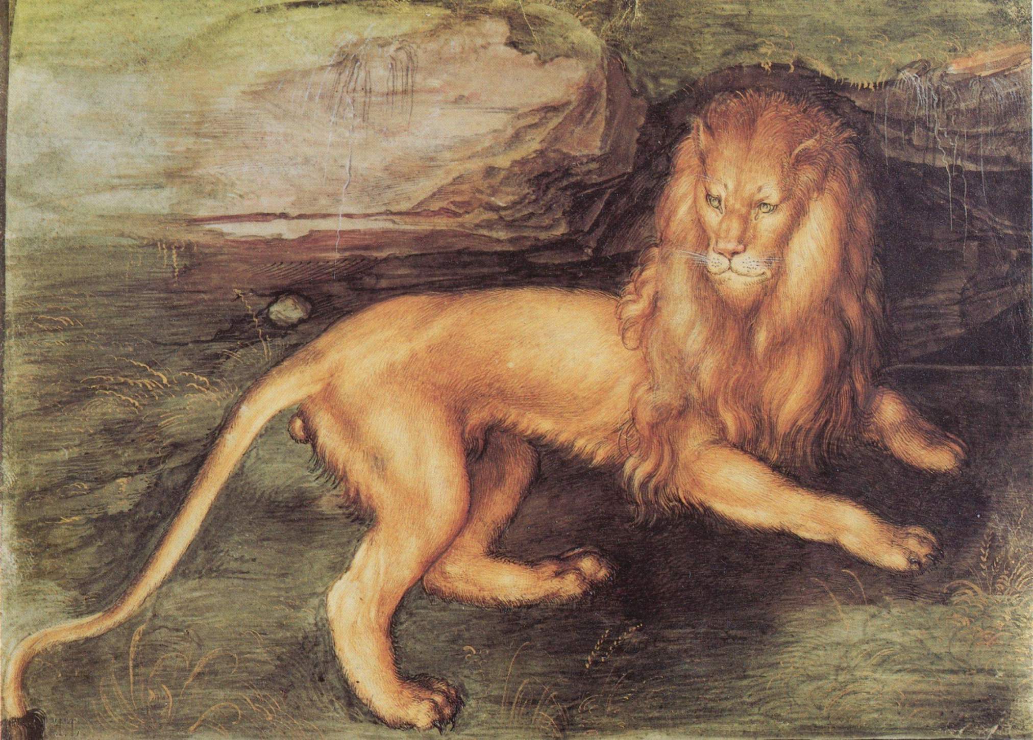 Leão - Albrecht Dürer