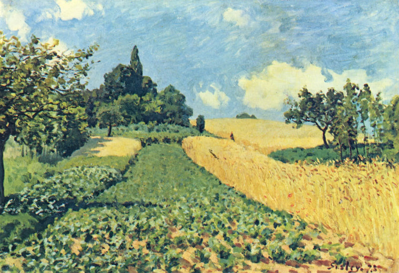Campos de trigo nas alturas de Argenteuil - Alfred Sisley