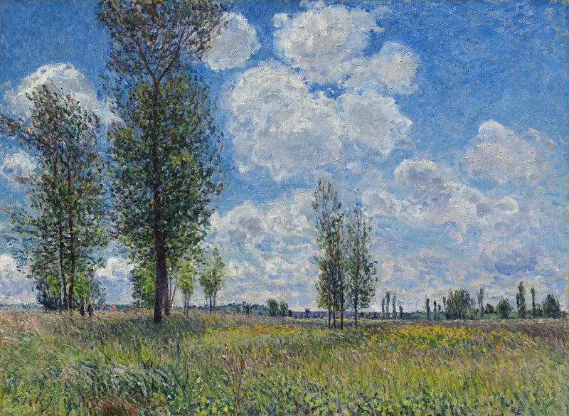 Pradaria de Veneux-Nadon - Alfred Sisley