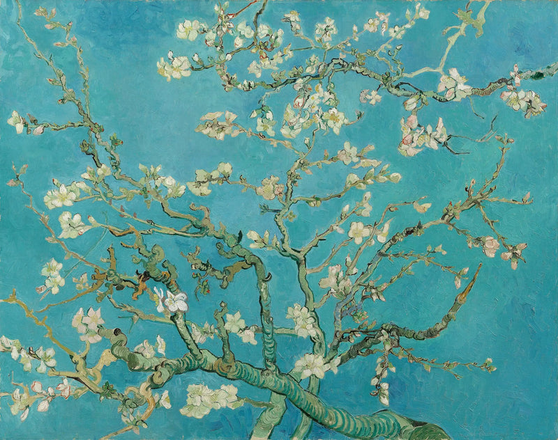 Amendoeira em flores - Vincent van Gogh