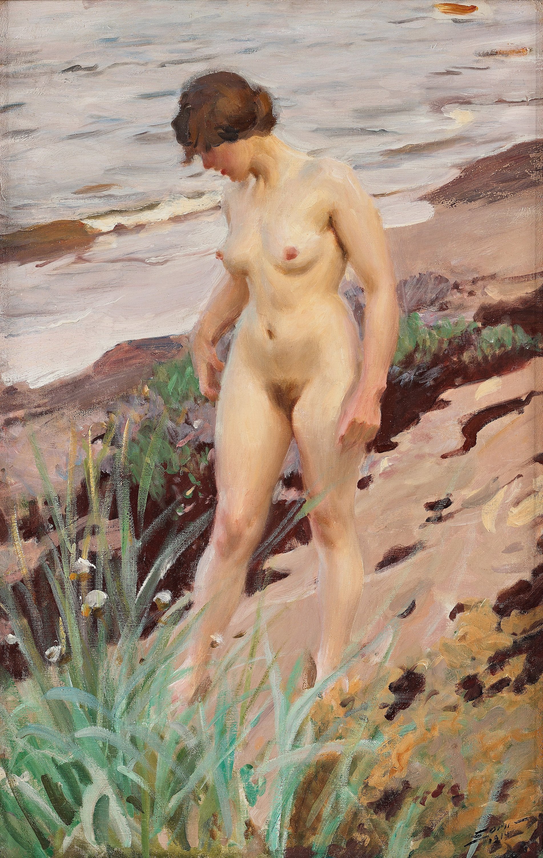 Effet Sandhamn - Anders Zorn