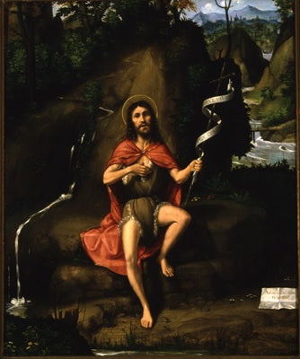 Saint Jean dans le désert - Andrea Previtali