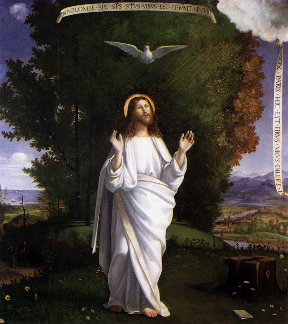 Transfiguration - Andrea Previtali