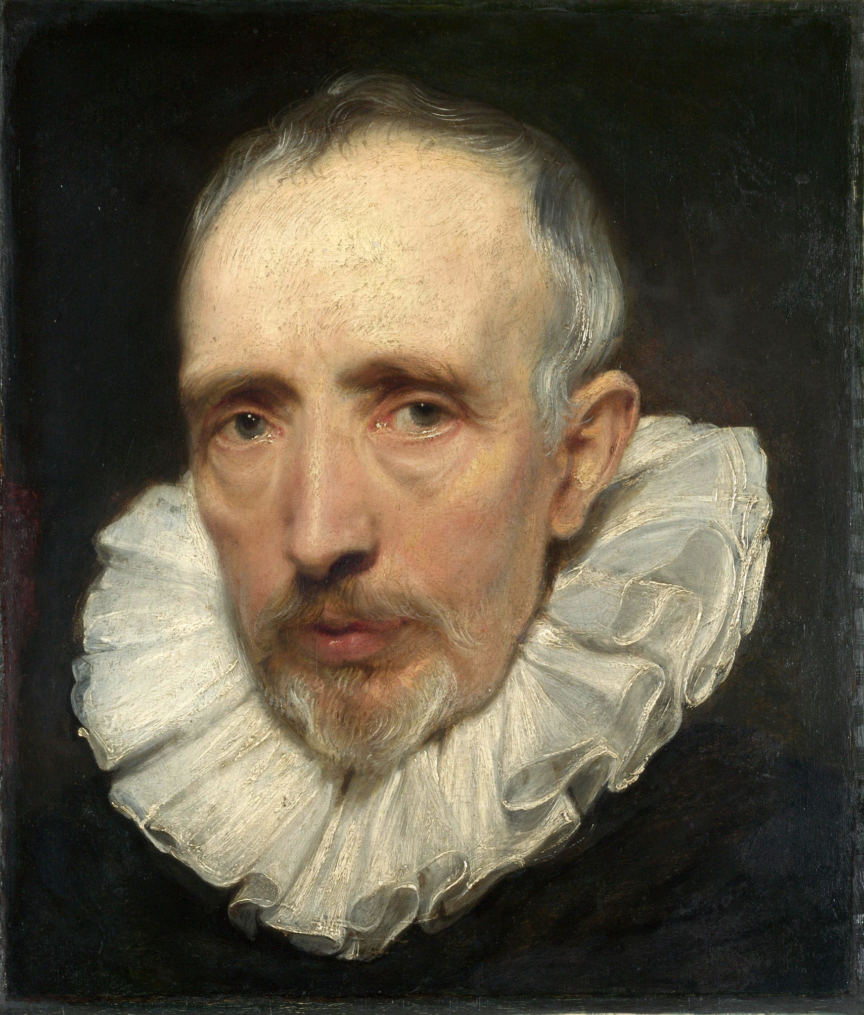 Portrait de Cornelis van der Geest - Antoine van Dyck