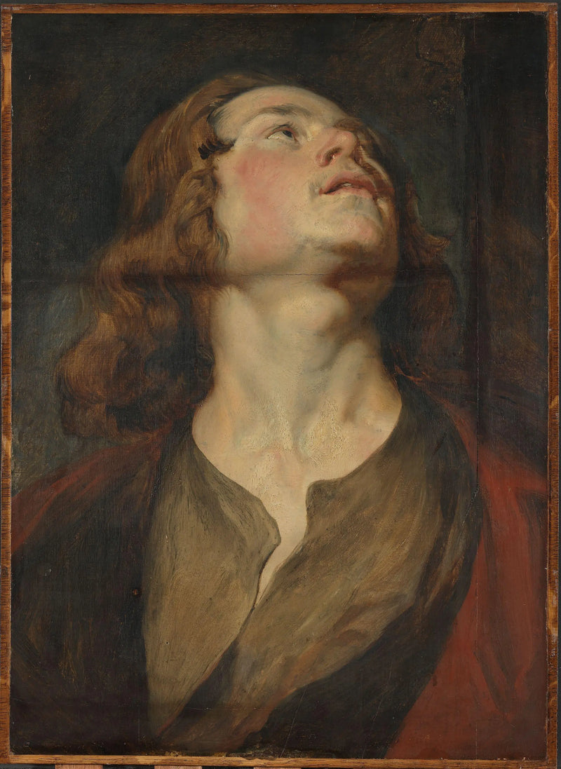 Cabeça de São João - Antoine van Dyck