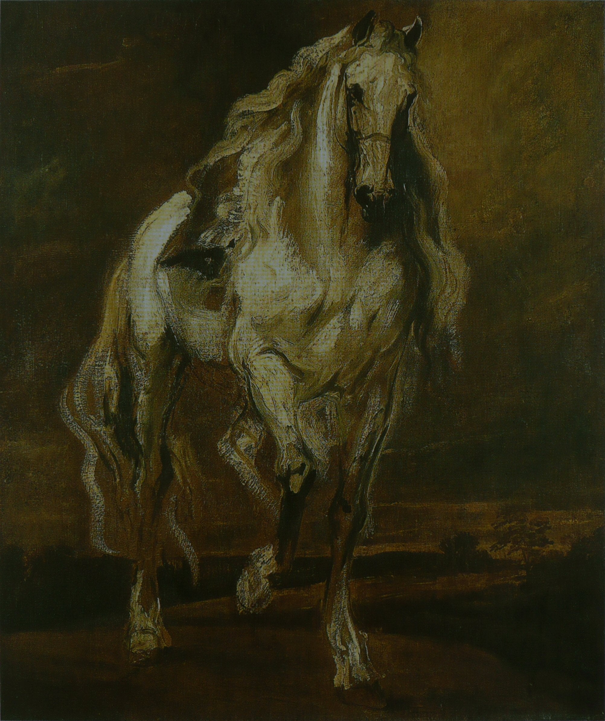Étude d'un cheval - Antoine van Dyck