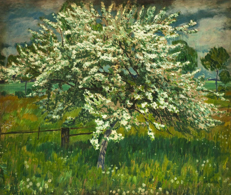 Pommier en fleurs – Antonín Hudeček