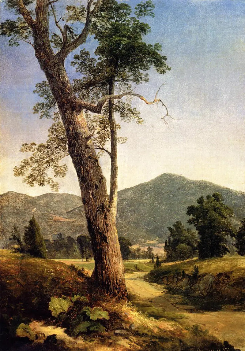 Paisagem além da árvore - Asher Brown Durand