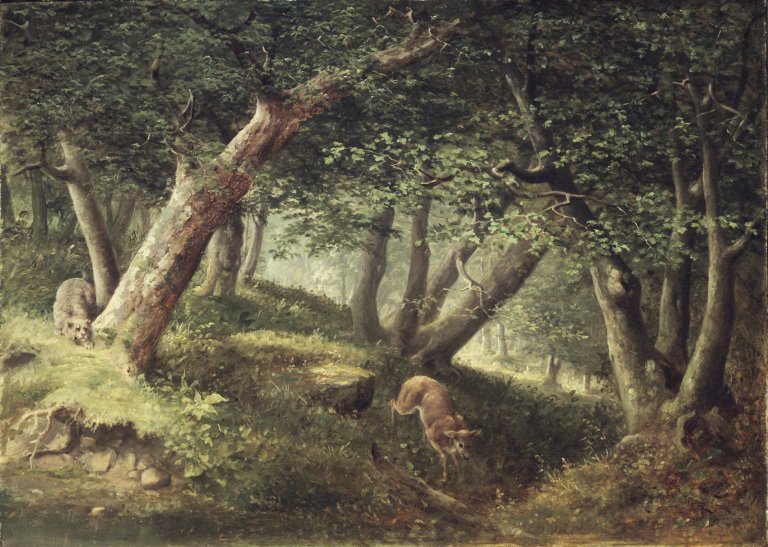 Dans la forêt - William Holbrook