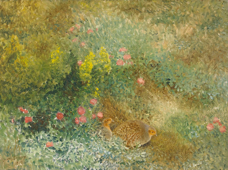 Perdrix grises - Bruno Liljefors