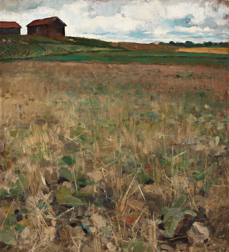 Paysage de Kvarnbo, Uppland - Bruno Liljefors