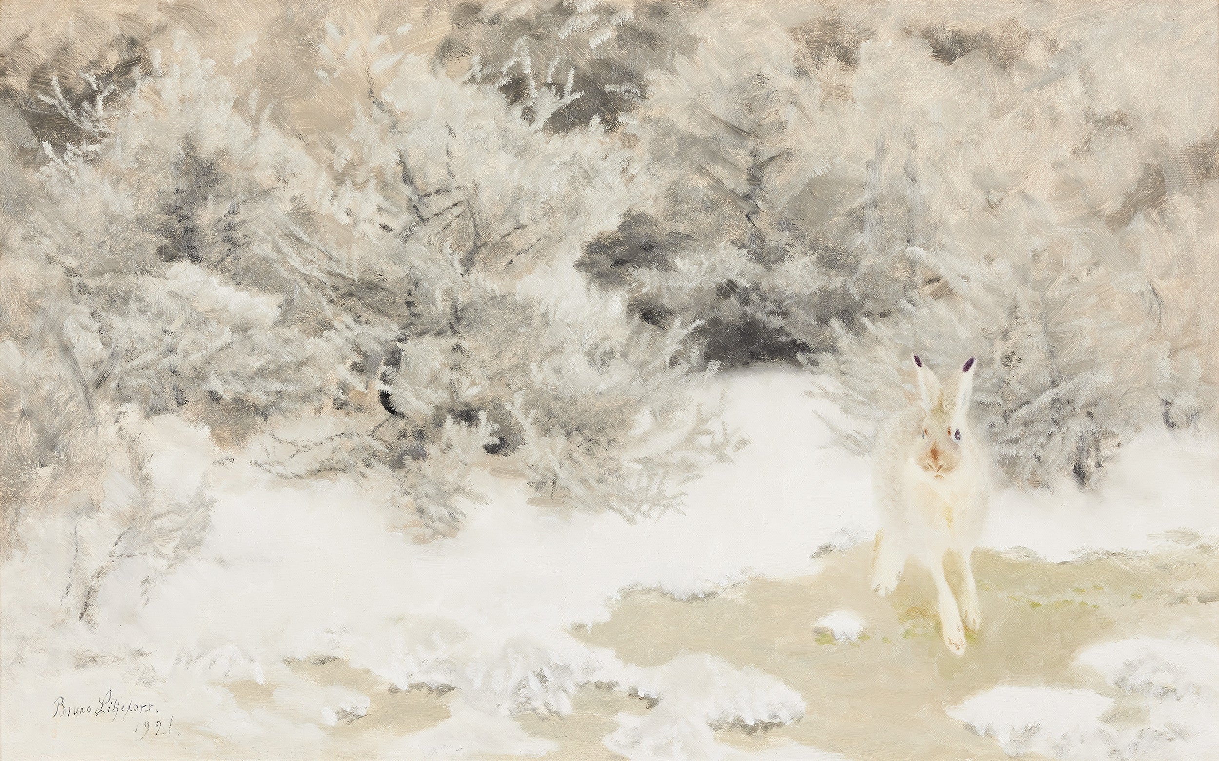 Lièvre d'hiver - Bruno Liljefors
