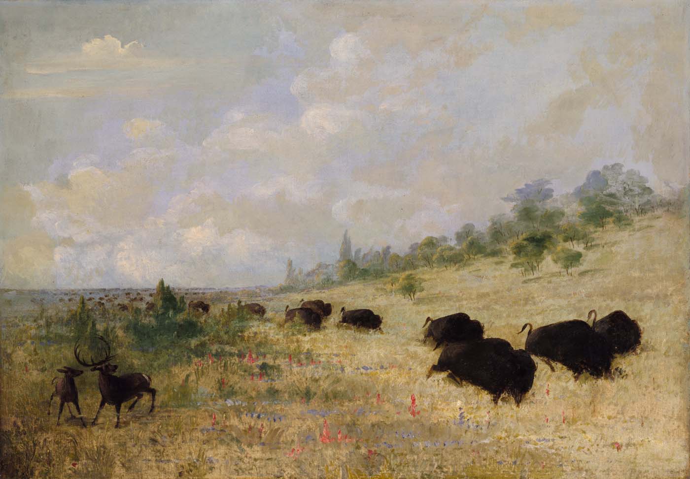 Élans et bisons broutant parmi les fleurs des prairies, Texas - George Catlin