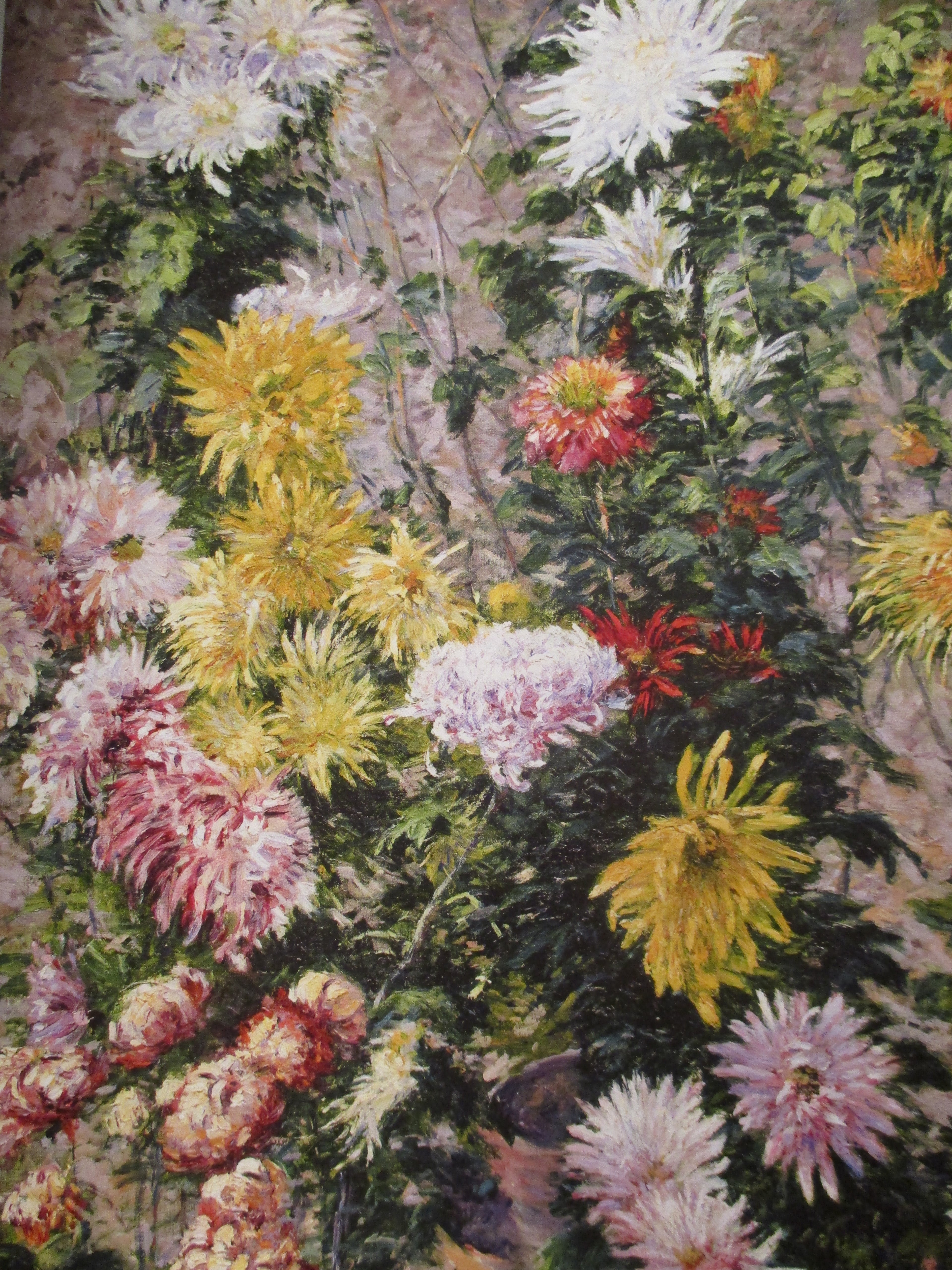 Reproduction du tableau « Chrysanthèmes blancs et jaunes. Jardin du Petit Gennevilliers - Gustave Caillebotte » par Alpha Reproduction en peinture à l’huile