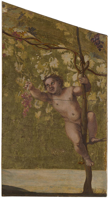 Putto colhendo uvas - Annibale Carracci