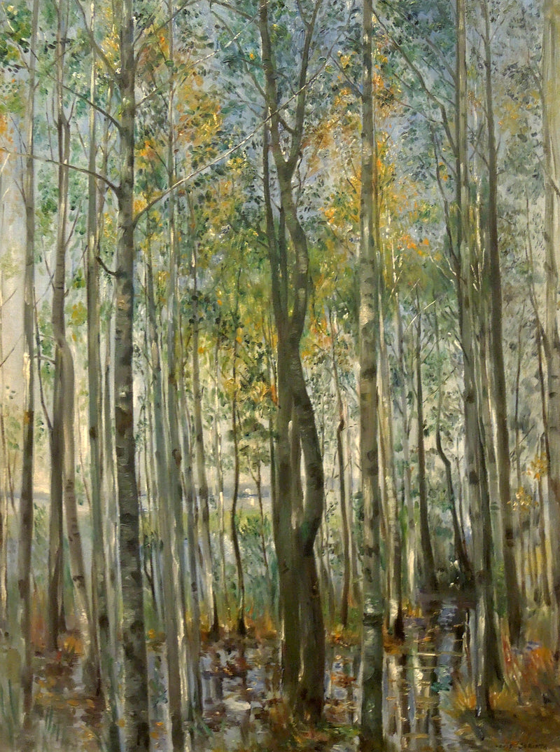 Une forêt. Inondations sur le lac de Starnberg - Lovis Corinth