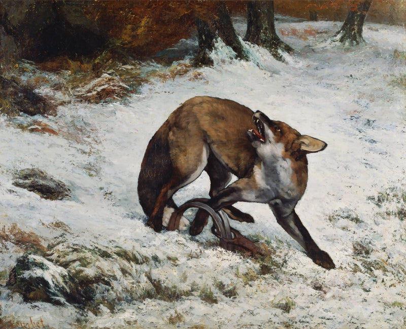 Raposa presa em uma armadilha - Gustave Courbet