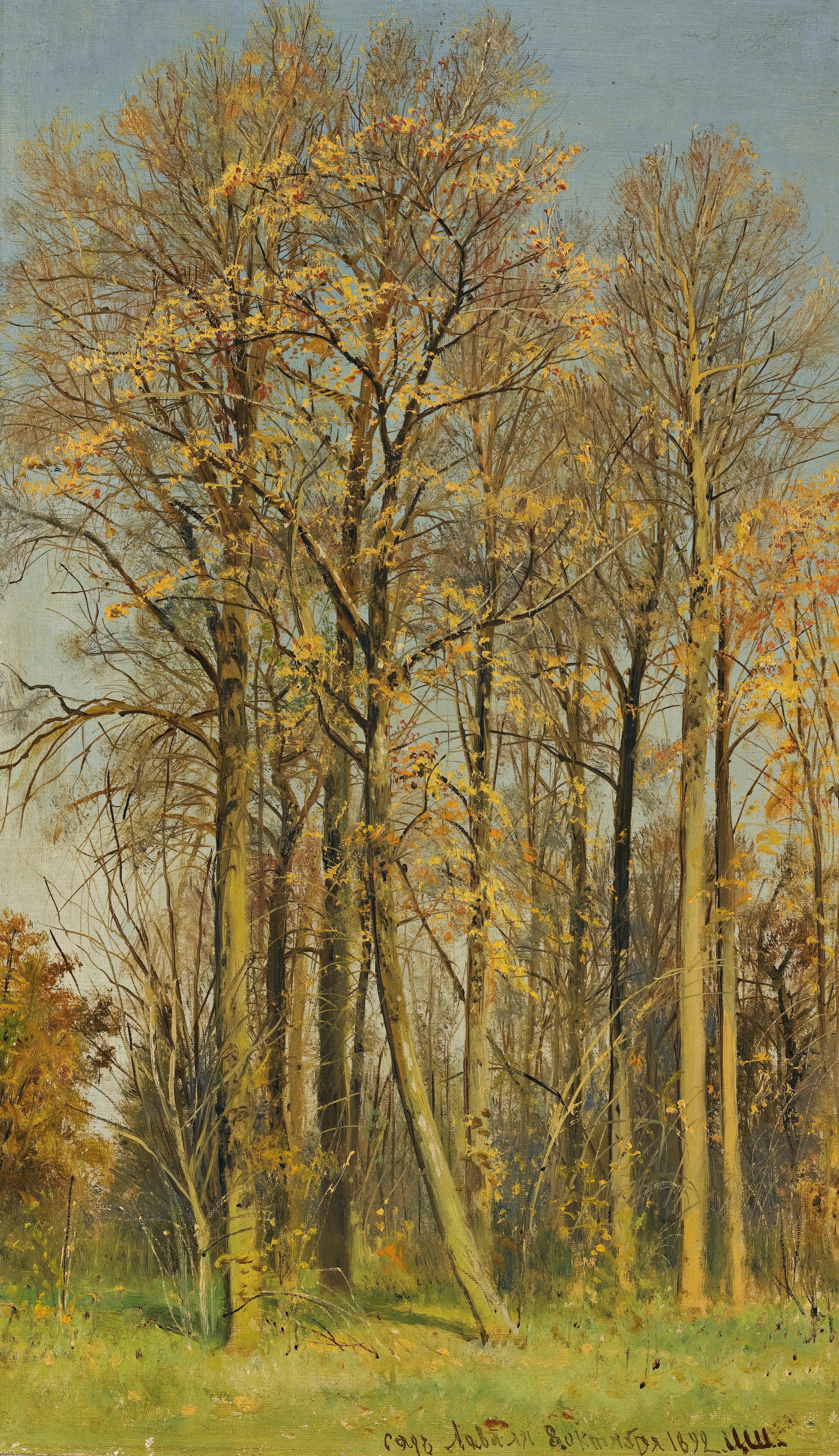 Sorbier des sorbiers en automne - Ivan Chichkine