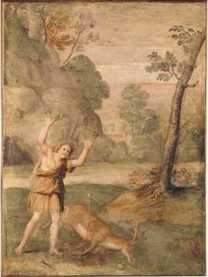 A transformação de Cyparissus - Domenichino