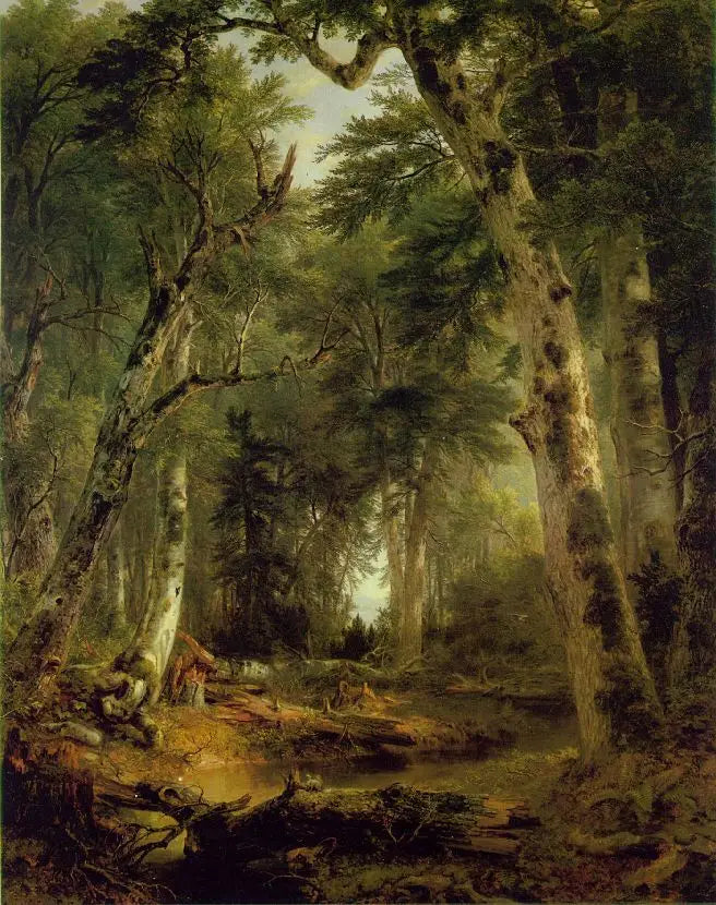 Na Floresta - Asher Brown Durand