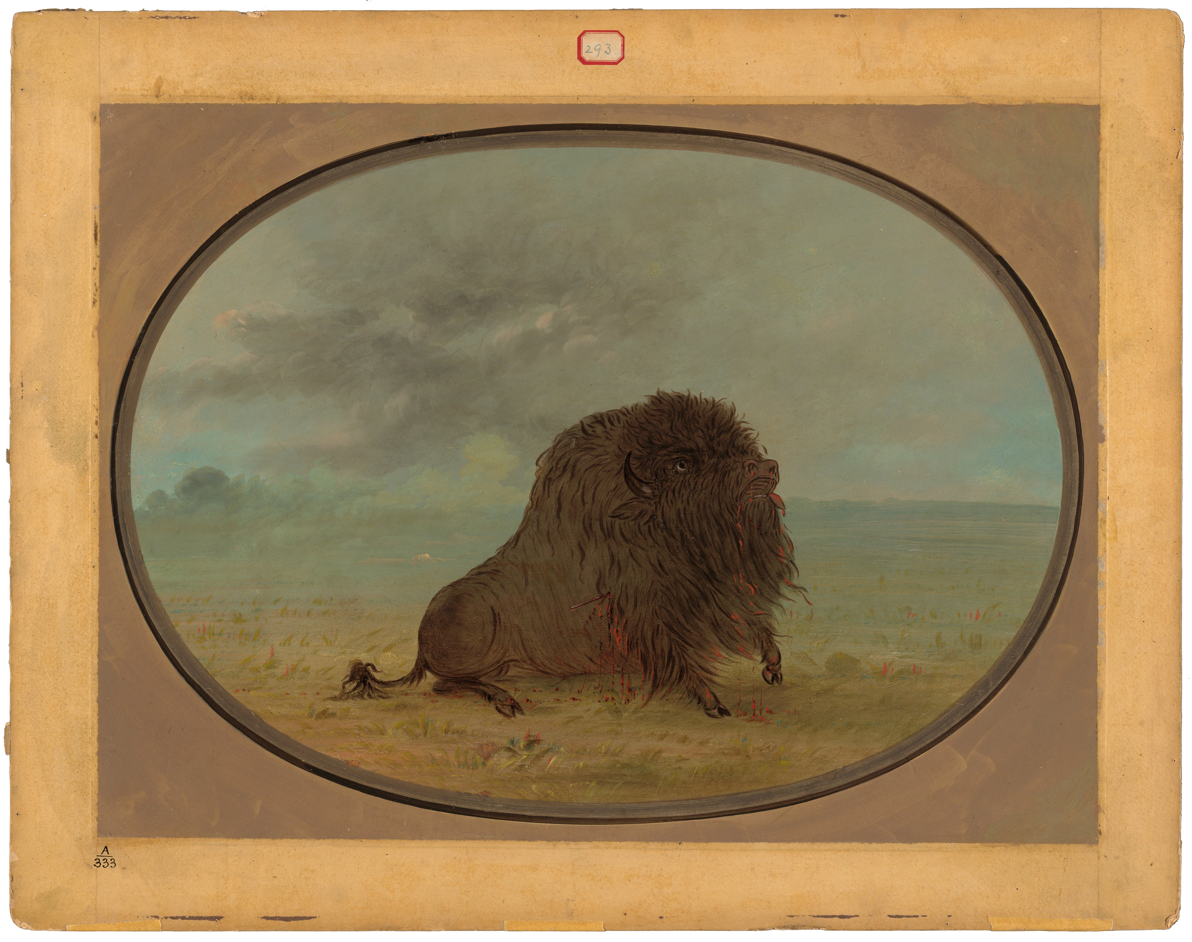 Buffle mâle mourant - George Catlin