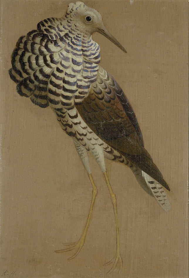 Étude d'une fraise - Edwin Henry Landseer