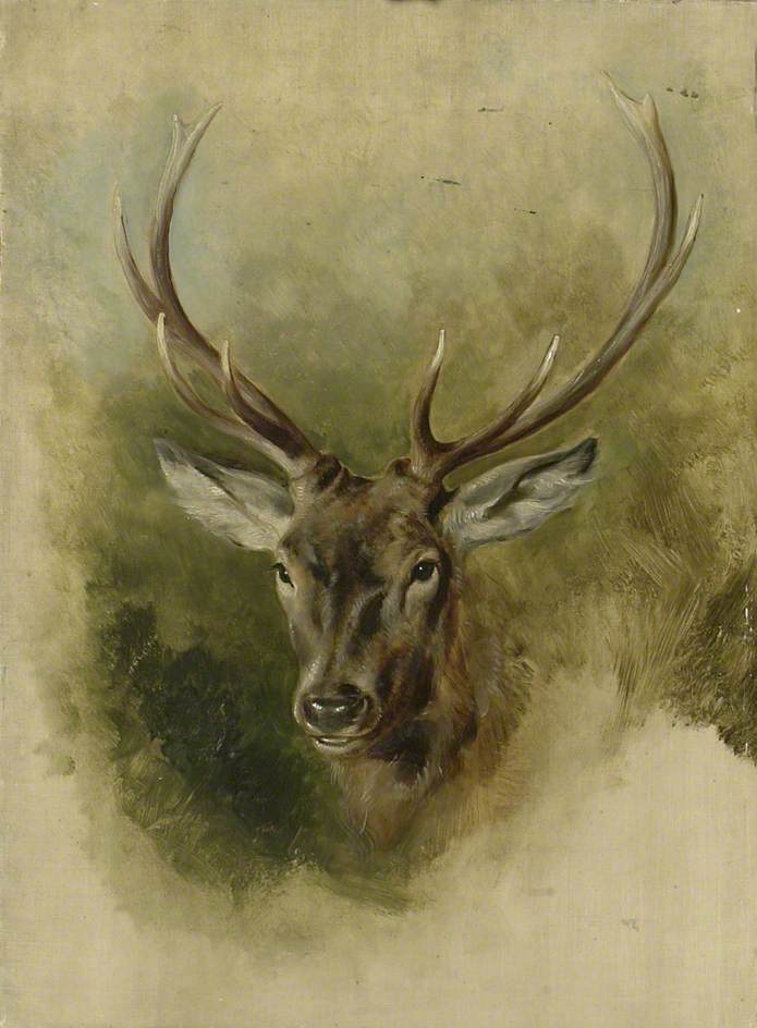 Deux études de tête de cerf (recto) - Edwin Henry Landseer
