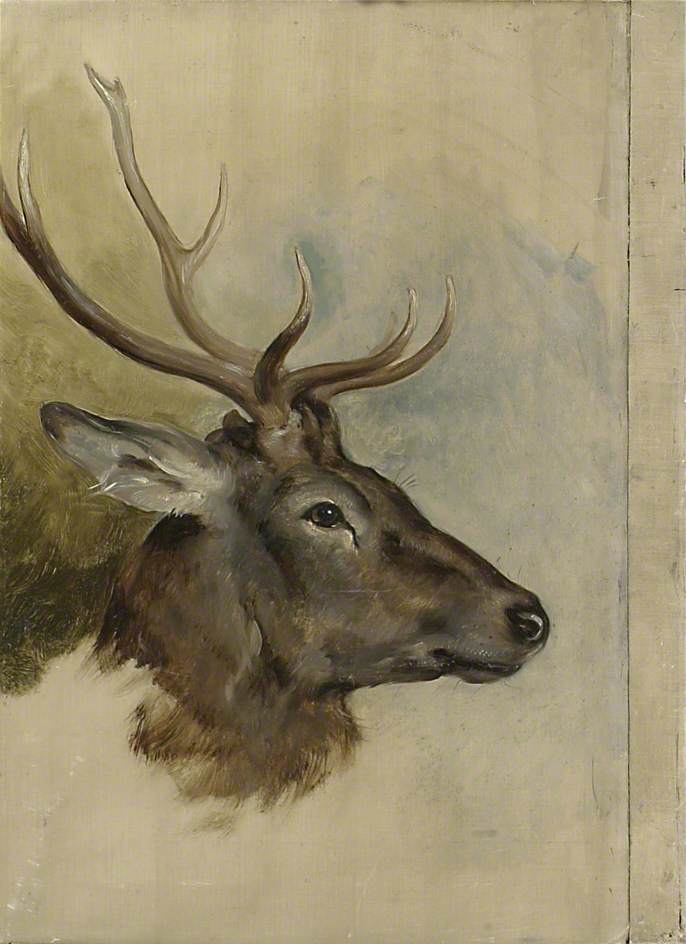 Deux études d'une tête de cerf (verso) - Edwin Henry Landseer