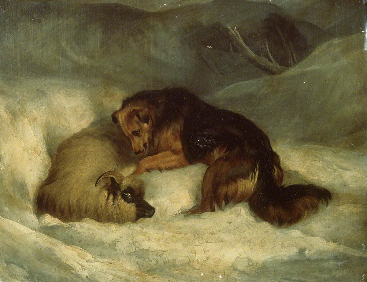 Chien de berger des Highlands dans la neige (anciennement connu sous le nom de « Chien de berger sauvant un bélier d'une congère ») - Edwin Henry Landseer