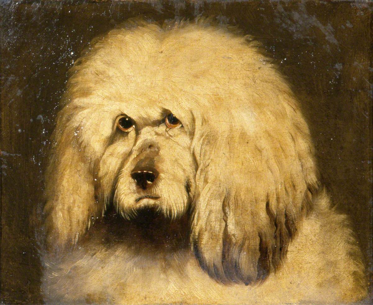 Étude d'une tête de chien - Edwin Henry Landseer