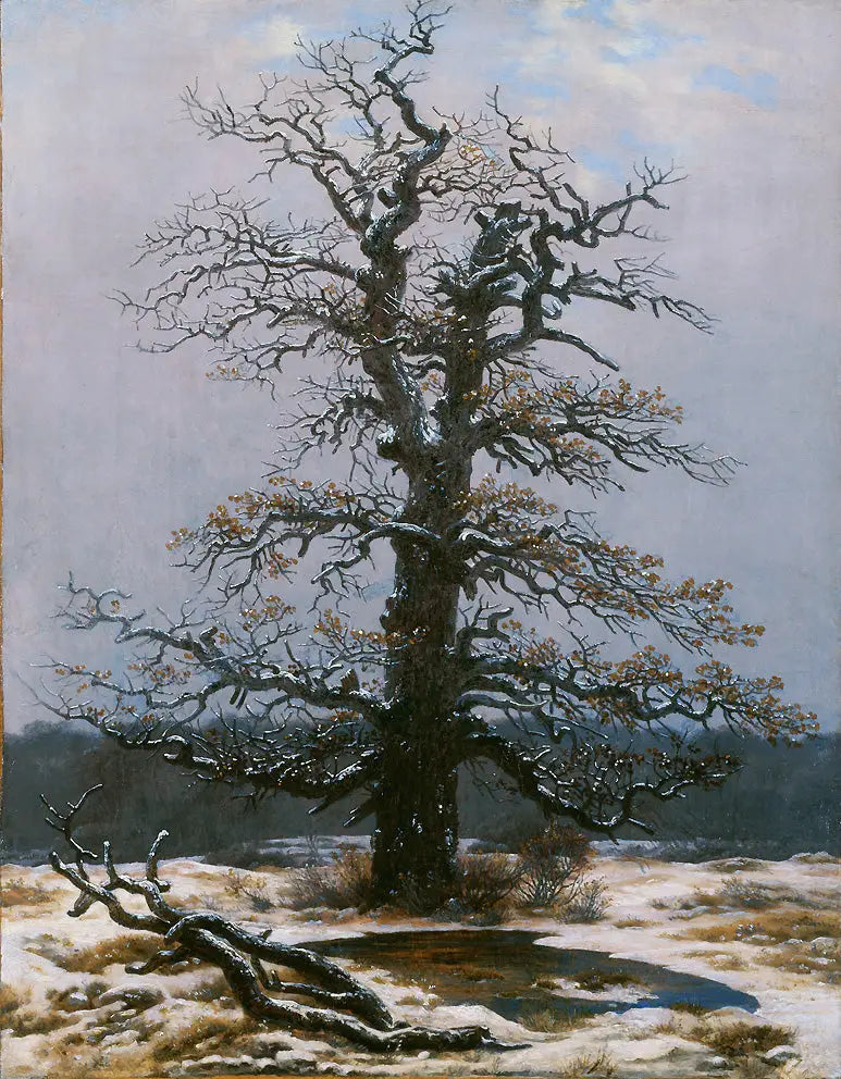 Carvalho sob a neve - Caspar David Friedrich