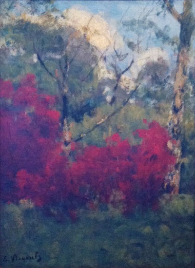 Paysage avec arbustos - Eliseu Visconti