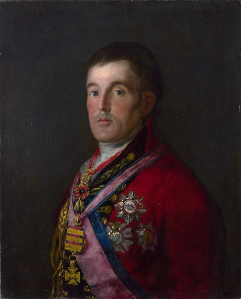 Retrato do duque de Wellington - Francisco de Goya