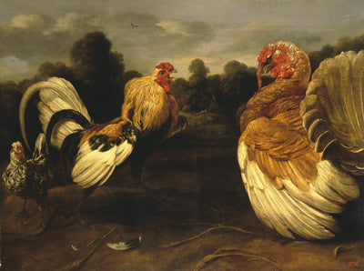 Combat entre un coq et un dindon - Frans Snyders