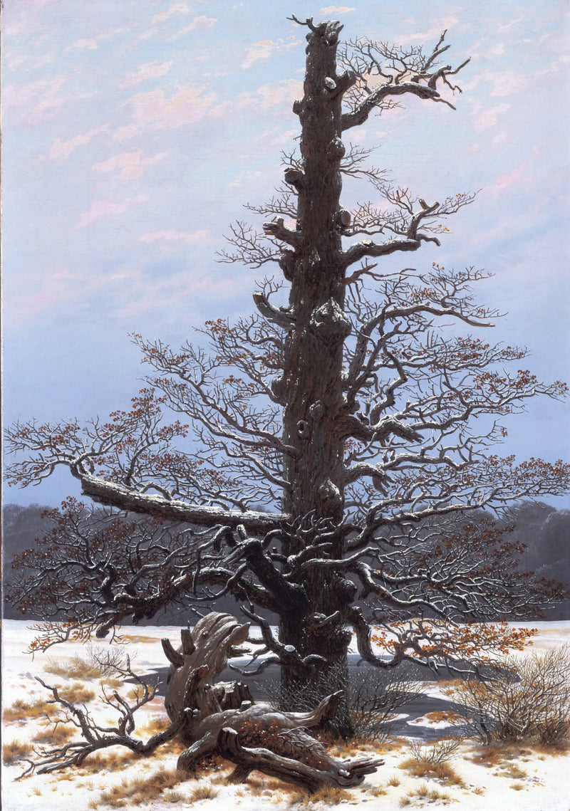 Carvalho sob a neve - Caspar David Friedrich