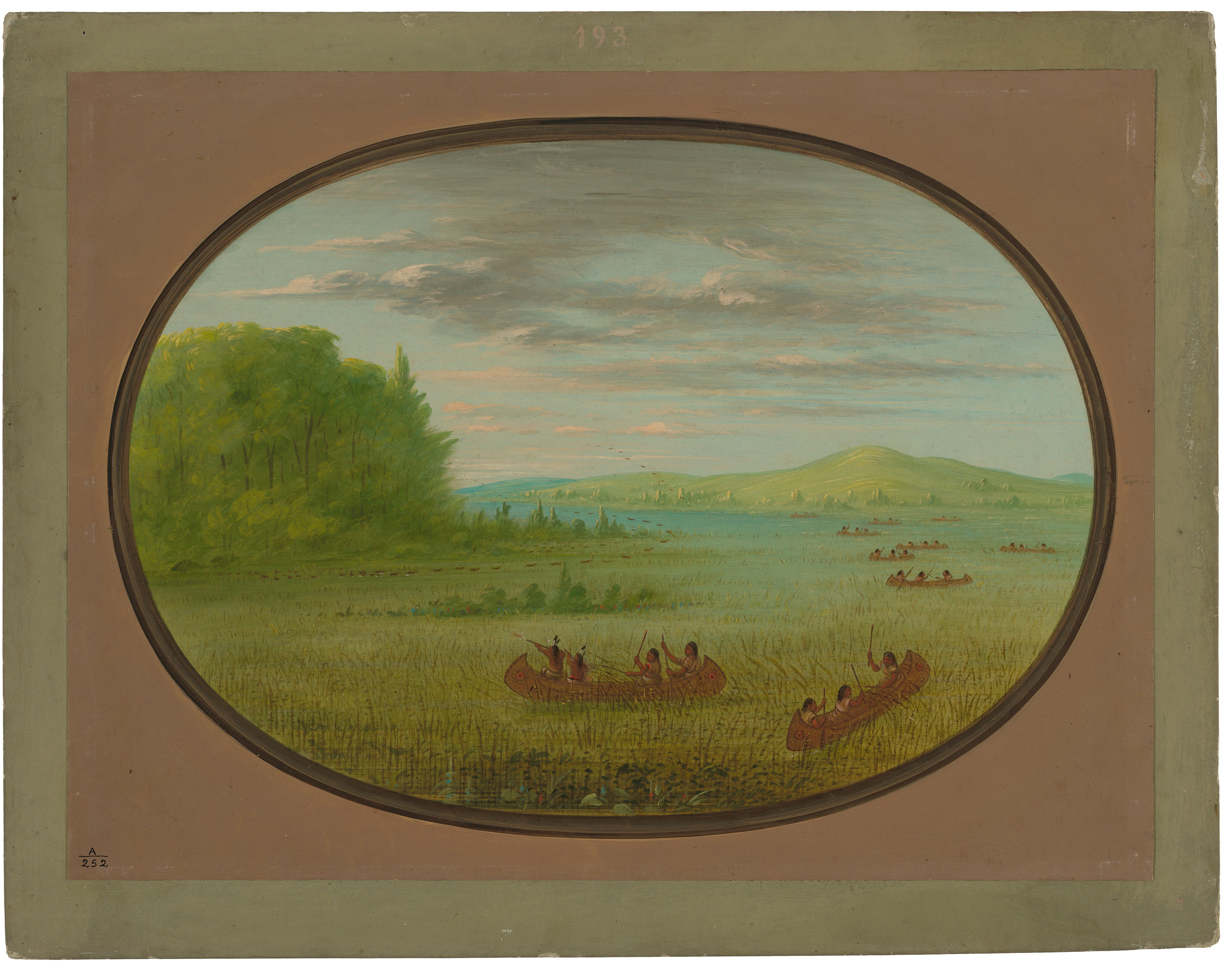Cueillette de riz sauvage - Winnebago - George Catlin