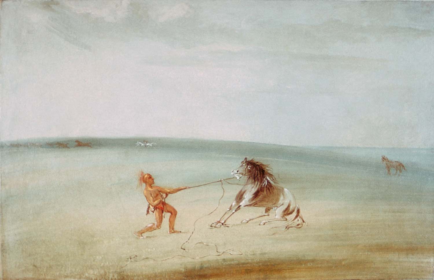 Décomposer le cheval sauvage - George Catlin