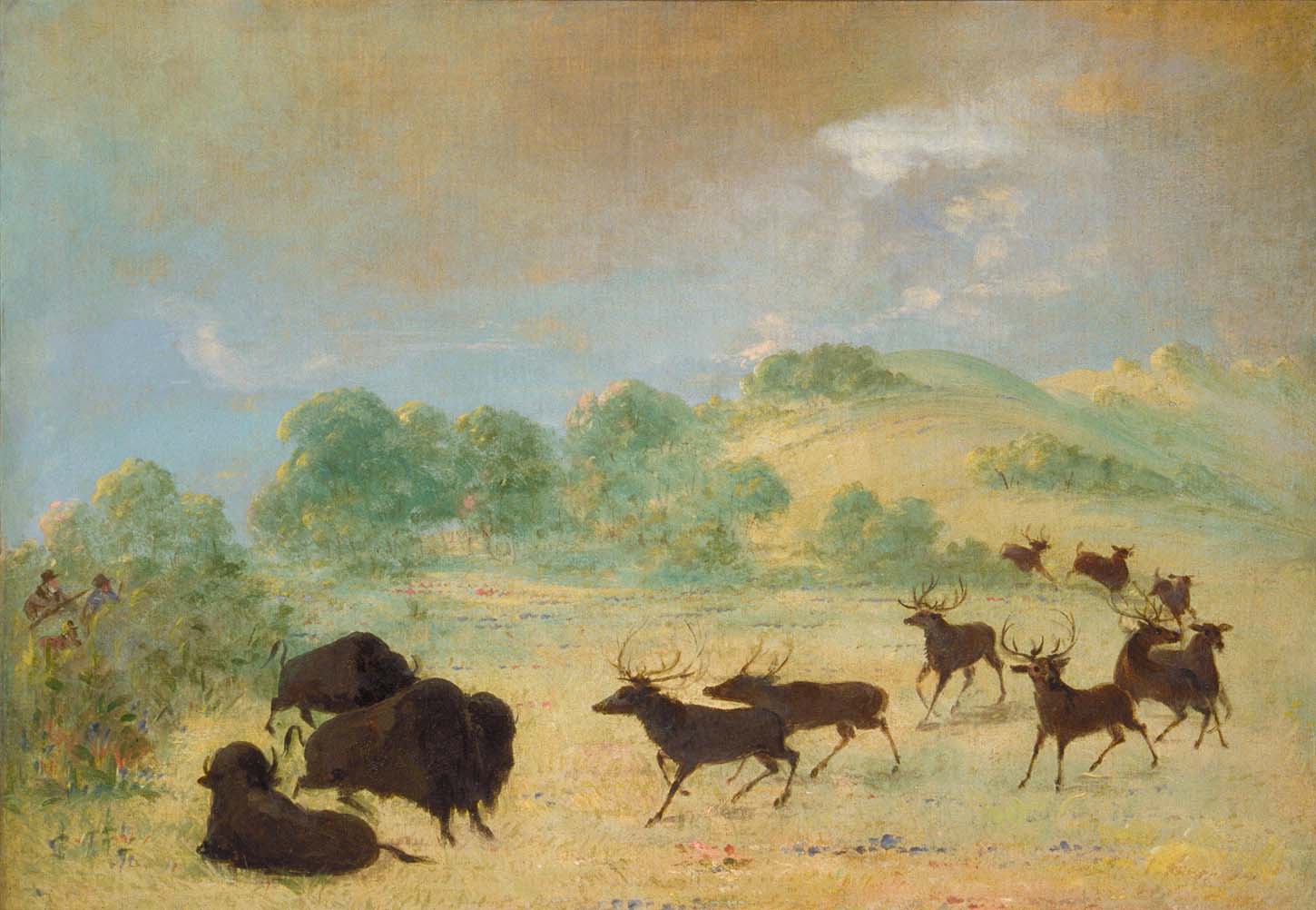 Élan et bison faisant connaissance, Texas - George Catlin