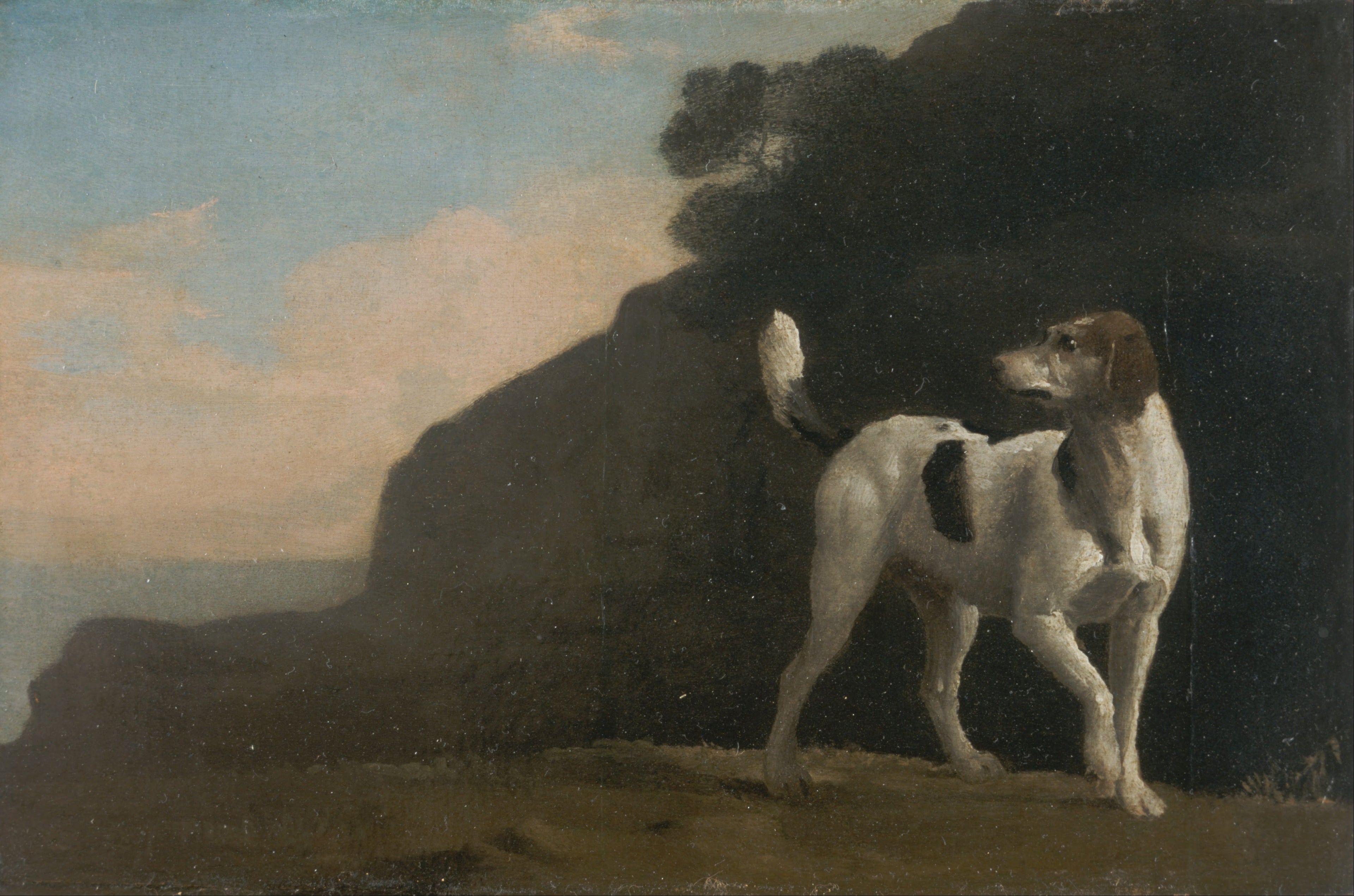 Chien courant - George Stubbs