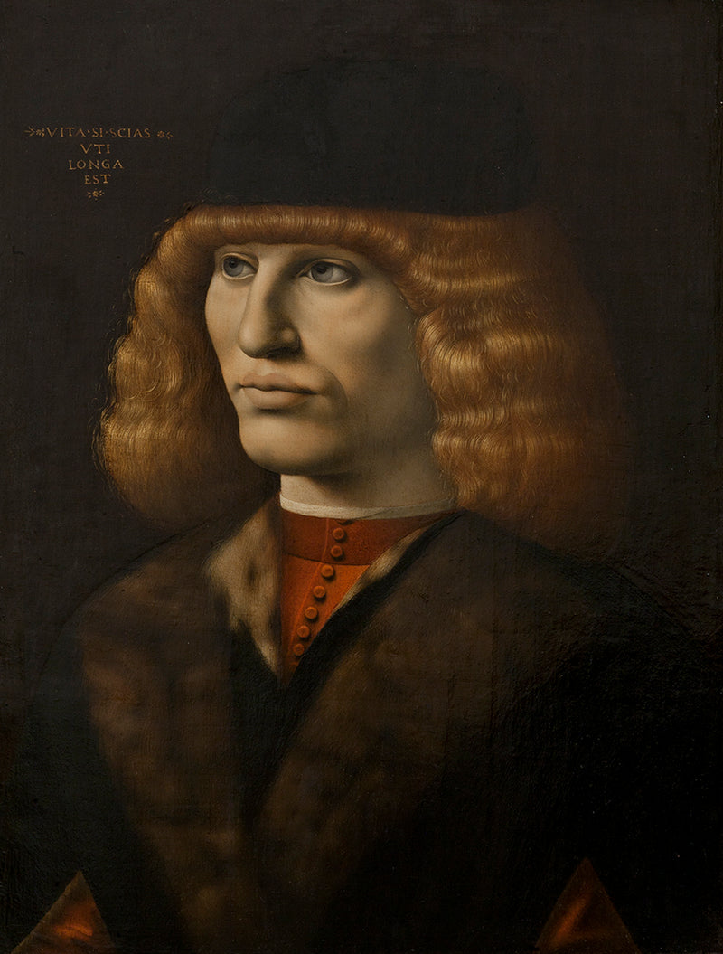 Portrait d'un jeune homme - Giovanni Antonio Boltraffio