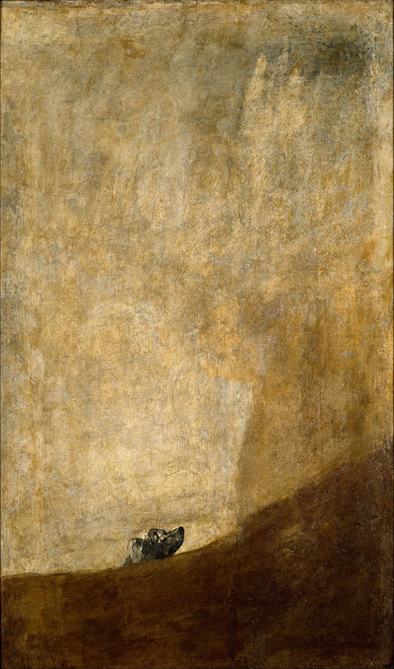 O Cão - Francisco de Goya